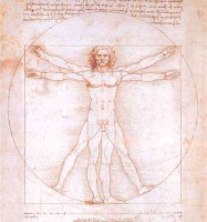 Le photographique chez Murdoch - Léonard de Vinci. 1490 L'homme de Vitruve