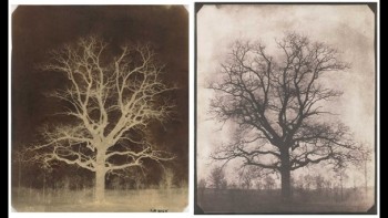 William Henry Fox Talbot, An oak tree in winter, Lacock Created:c.1842-43 Format:Calotype negative and salted paper print Creator:William Henry Fox Talbot -Held by:British Library Usage terms:Public Domain Shelfmark