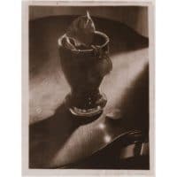 ©Josef Sudek - Nature morte - still in life