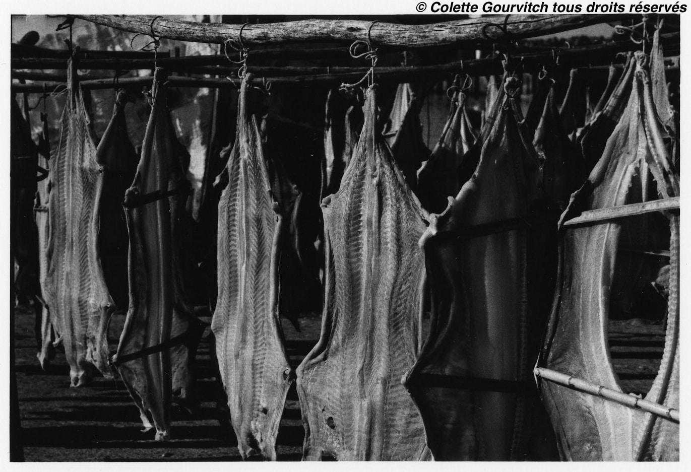Alain Madeleine-Perdrillat - Photographies Colette Gourvitch Tirages originaux de collection ©Colette Gourvitch REF:11MAD.035 - signé