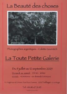 La beauté des choses - Exposition à La Toute Petite Galerie 2025
